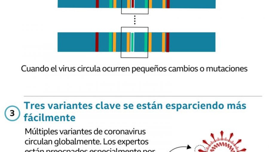 Qué se sabe de la variante brasileña P.1 de coronavirus, que se considera más contagiosa