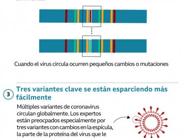 Qué se sabe de la variante brasileña P.1 de coronavirus, que se considera más contagiosa