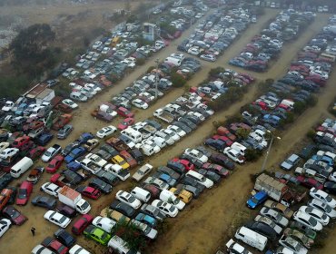 Más de 60 vehículos abandonados han sido retirados de las calles de Viña del Mar entre febrero y marzo