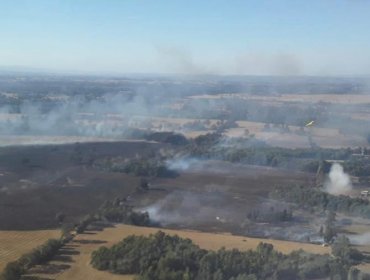 Declaran Alerta Roja para la comuna de Nueva Imperial por incendio forestal cercano a sectores habitados