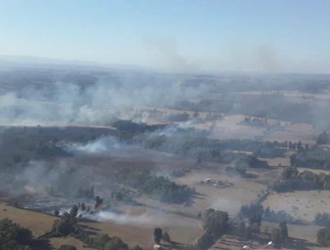 Declaran Alerta Roja para la comuna de Nueva Imperial por incendio forestal cercano a sectores habitados