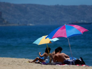 Meteorología emite aviso por ola de calor entre las regiones de Valparaíso y La Araucanía