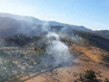 Cancelan la Alerta Amarilla para la comuna de Lolol por incendio forestal