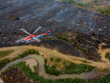 Cancelan la Alerta Amarilla para las comunas de Puerto Montt y Puerto Varas por incendios forestales