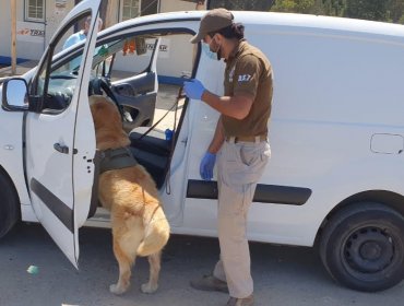 Olfato de perro policial permite detener a dos hombres e incautar un arma y droga en San Antonio