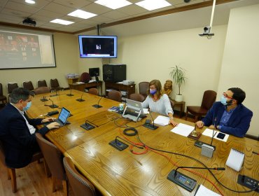 Comisión de Salud de la Cámara avanza en tramitación del proyecto que permite la eutanasia