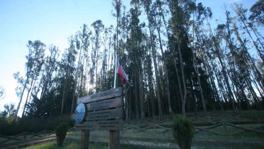 Reserva Nacional Lago Peñuelas fue cerrada por la «Cuarentena» en Valparaíso