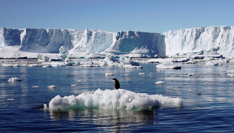 Anuncian la puesta en marcha del Observatorio del Cambio Climático en la Antártica