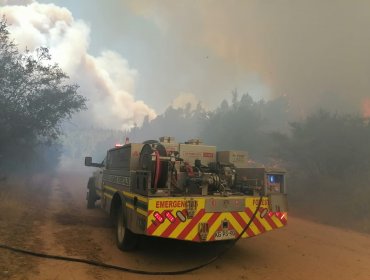 Declaran Alerta Roja para Valparaíso por incendio forestal que amenaza a la Reserva Lago Peñuelas