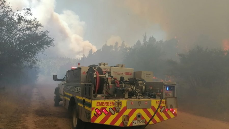 Declaran Alerta Roja para Valparaíso por incendio forestal que amenaza a la Reserva Lago Peñuelas