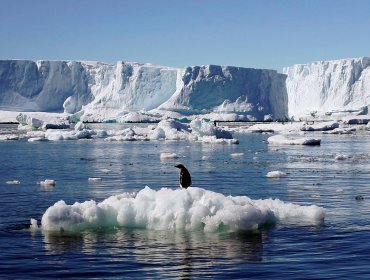 Anuncian la puesta en marcha del Observatorio del Cambio Climático en la Antártica