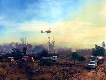 Alerta Roja en Valparaíso: Incendio forestal en Reserva Lago Peñuelas consume más de nueve hectáreas