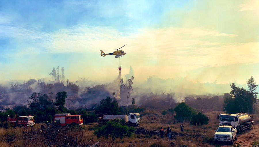 Alerta Roja en Valparaíso: Incendio forestal en Reserva Lago Peñuelas consume más de nueve hectáreas