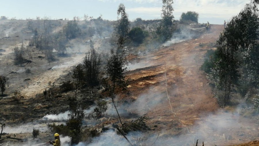 Controlan el incendio forestal en Reserva Lago Peñuelas y decretan Alerta Amarilla para Valparaíso