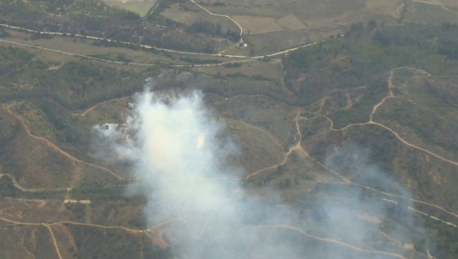 Alerta Roja en Valparaíso: Activo se mantiene incendio forestal en la Reserva Lago Peñuelas