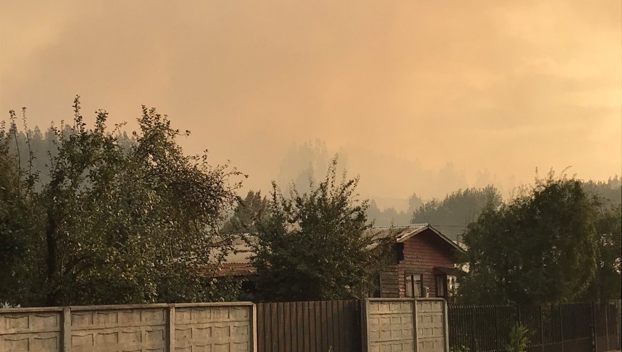 Alerta Roja para la comuna de Galvarino por incendio forestal cercano a sectores poblados