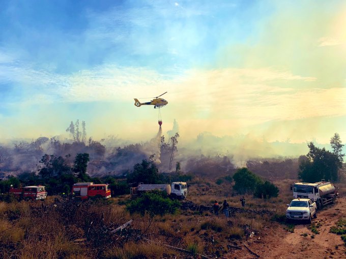 Extinguen Incendio Forestal En Reserva Lago Peñuelas Y Cancelan La Alerta Amarilla Para 3732