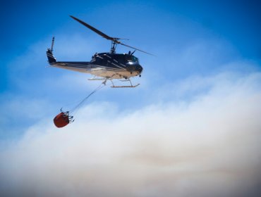 Incendio forestal en Reserva Nacional Lago Peñuelas está controlado y sin propagación: 9,3 hectáreas consumidas