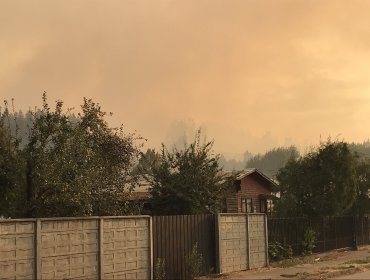 Alerta Roja para la comuna de Galvarino por incendio forestal cercano a sectores poblados