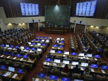 Cámara de Diputados aprueba resolución para brindar responsabilidad a delegados presidenciales