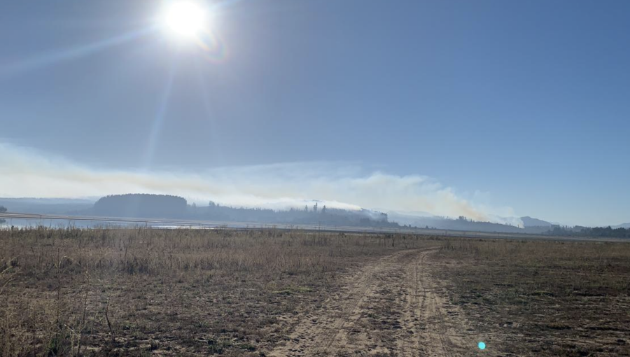 Valparaíso en Alerta Roja por nuevo incendio forestal en la Reserva Nacional Lago Peñuelas