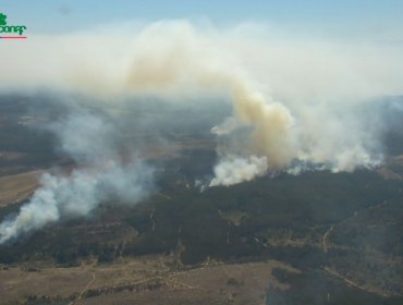 Alerta Roja en Valparaíso: Incendio en Reserva Lago Peñuelas consume 16 hectáreas