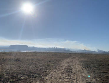 Valparaíso en Alerta Roja por nuevo incendio forestal en la Reserva Nacional Lago Peñuelas