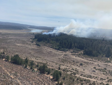 Activos se mantienen los tres focos de incendio al interior de la Reserva Nacional Lago Peñuelas