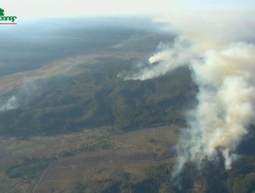 Activos se mantienen los focos de incendio en Reserva Lago Peñuelas: Más de 150 hectáreas consumidas