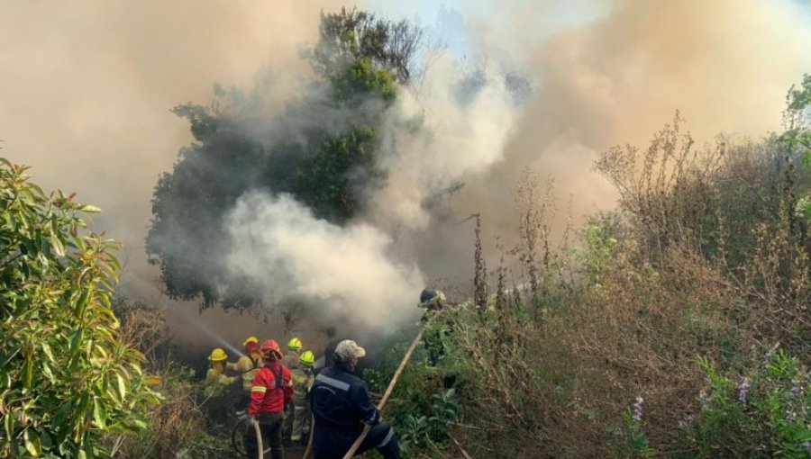 Declaran Alerta Amarilla para la comuna de Santo Domingo por incendio forestal cercano a sectores habitados