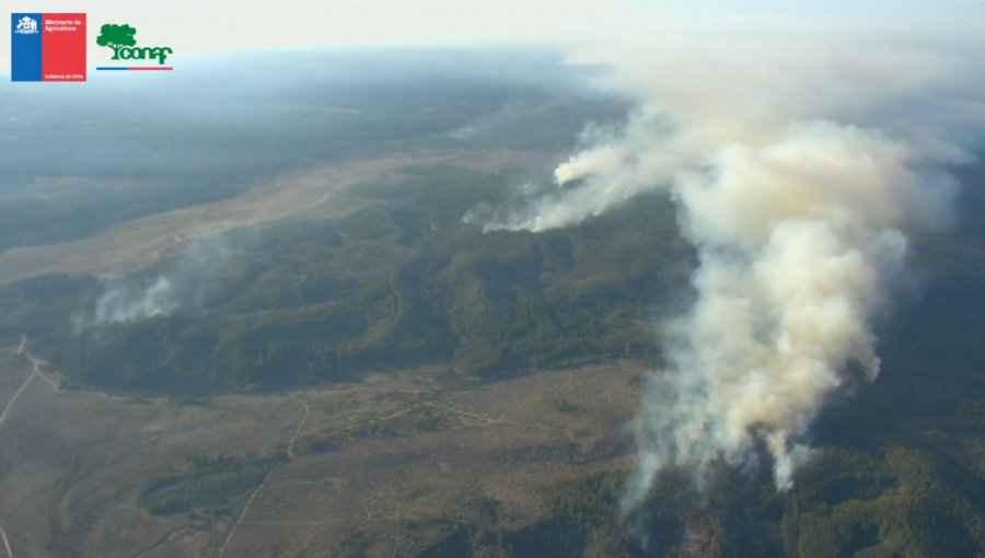 Activos se mantienen los focos de incendio en Reserva Lago Peñuelas: Más de 150 hectáreas consumidas