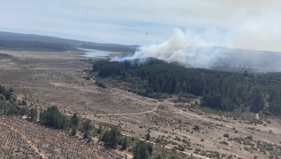 Activos se mantienen los tres focos de incendio al interior de la Reserva Nacional Lago Peñuelas