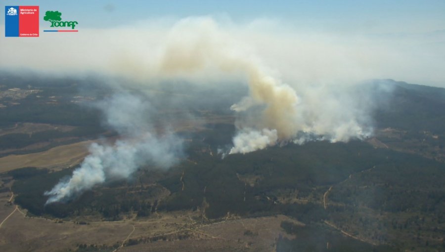 Alerta Roja en Valparaíso: Incendio en Reserva Lago Peñuelas consume 16 hectáreas