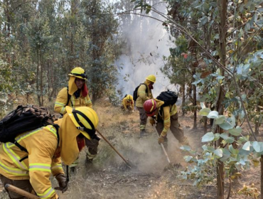 Más de 155 hectáreas ha consumido incendio forestal en Valparaíso: se mantiene la Alerta Roja