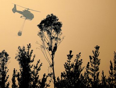 Investigan "rastros de intencionalidad" en incendios forestales al interior de la Reserva Lago Peñuelas