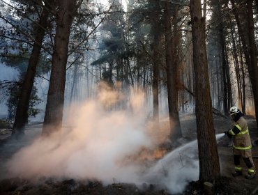 Alerta Roja en Valparaíso: Incendio forestal en Reserva Lago Peñuelas consume más de 157 hectáreas