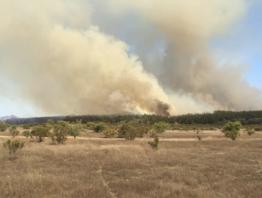 Activos se mantienen los seis focos del incendio forestal en la Reserva Nacional Lago Peñuelas