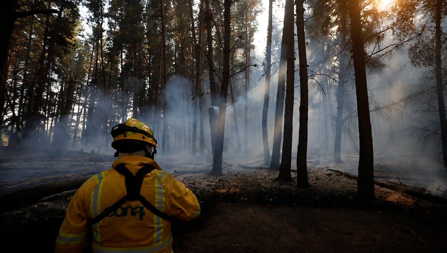 Extinguen el incendio forestal en Santo Domingo y cancelan la Alerta Amarilla para la comuna