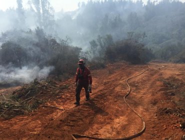 Incendio forestal al interior de la Reserva Lago Peñuelas consume más de 357 hectáreas