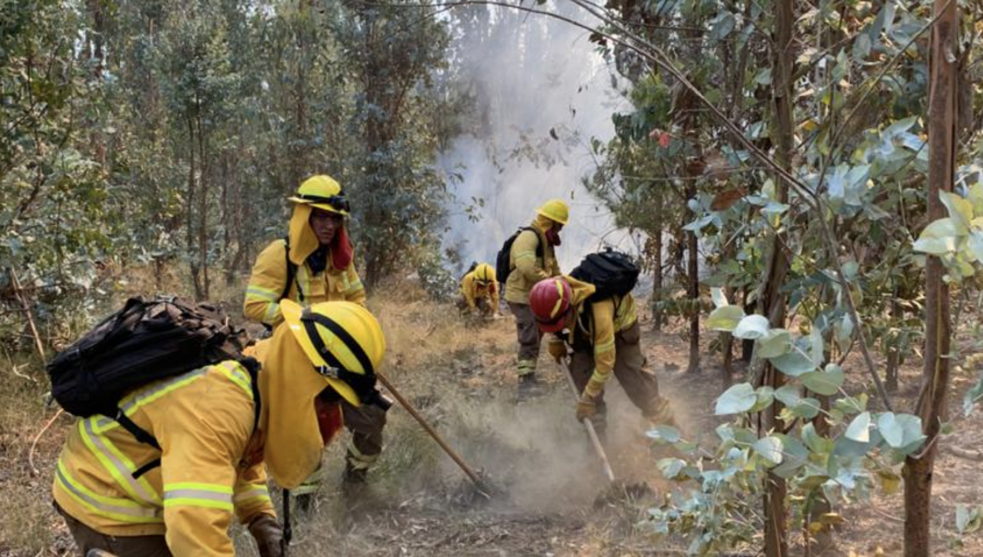 Más de 155 hectáreas ha consumido incendio forestal en Valparaíso: se mantiene la Alerta Roja