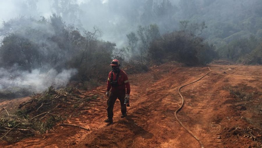 Incendio forestal al interior de la Reserva Lago Peñuelas consume más de 357 hectáreas