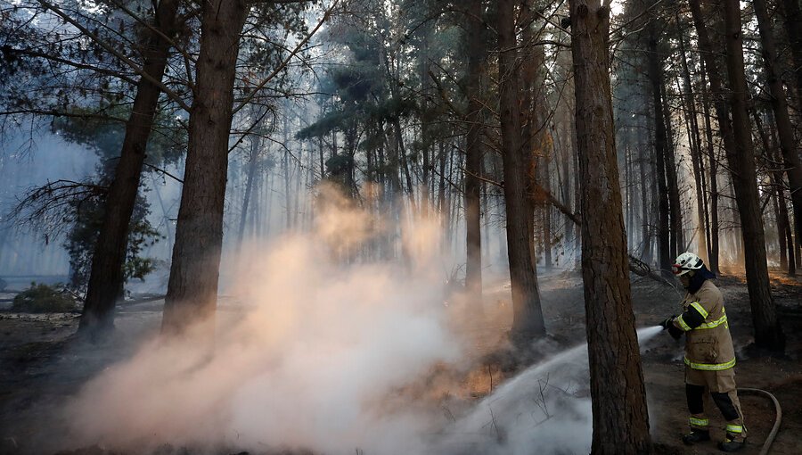 Alerta Roja en Valparaíso: Incendio forestal en Reserva Lago Peñuelas consume más de 157 hectáreas