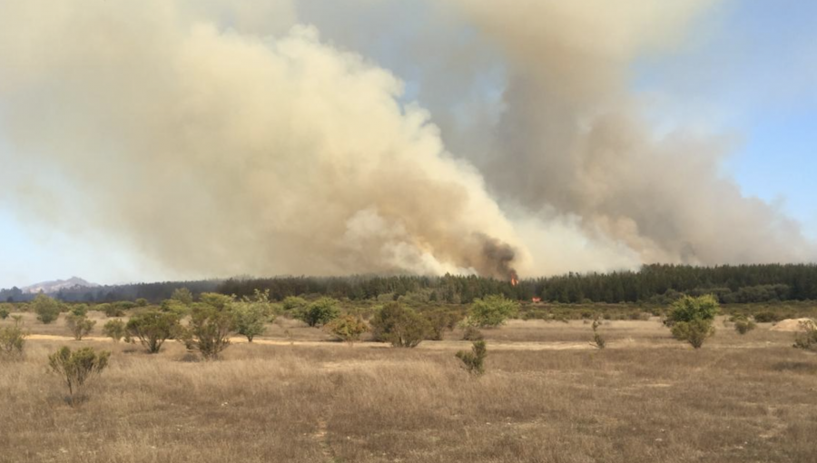 Activos se mantienen los seis focos del incendio forestal en la Reserva Nacional Lago Peñuelas