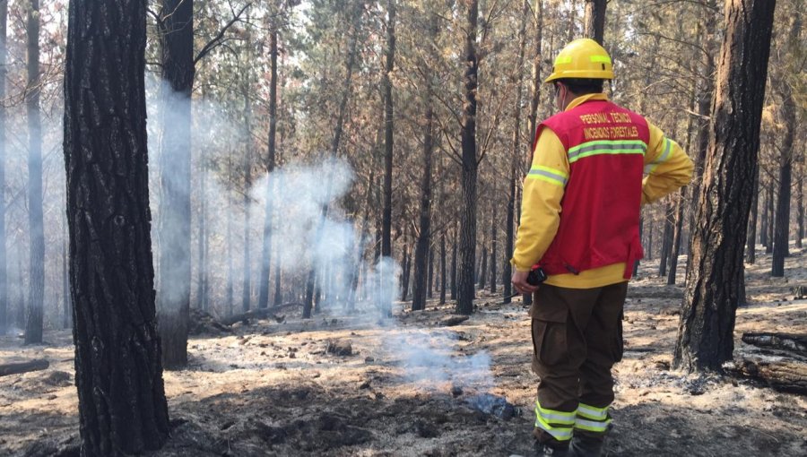 Activo, pero sin avance: Incendio forestal consume 360 hectáreas en la Reserva Lago Peñuelas de Valparaíso