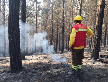 Activo, pero sin avance: Incendio forestal consume 360 hectáreas en la Reserva Lago Peñuelas de Valparaíso