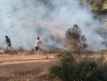 Hombre en situación de calle falleció calcinado al interior de contenedor en Laguna Verde