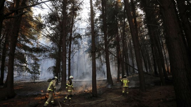 Mantienen Alerta Amarilla en Valparaíso: seis focos de incendio forestal en Reserva Lago Peñuelas fueron controlados