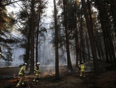 Mantienen Alerta Amarilla en Valparaíso: seis focos de incendio forestal en Reserva Lago Peñuelas fueron controlados