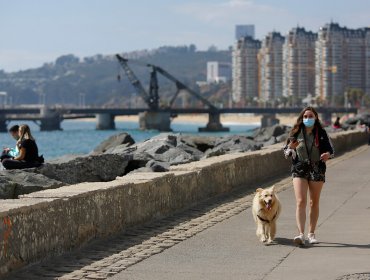 Conozca en qué etapa del plan «Paso a paso» se encuentran las comunas de la región de Valparaíso