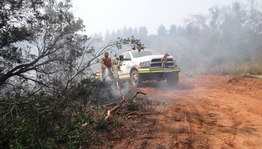 Conaf reconoció trabajo de brigadas de cuatro regiones para controlar incendios forestales en Valparaíso